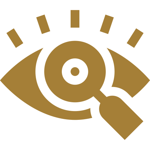 visionimg
